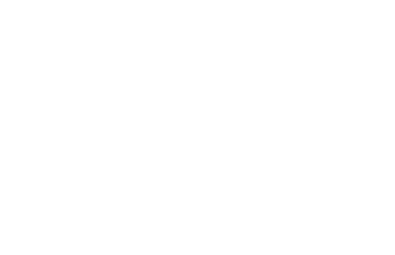 The Clean Show